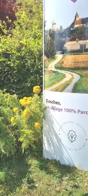 La Maison Des Delices Dosches エクステリア 写真