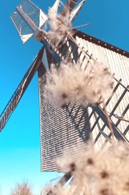 La Maison Des Delices Dosches エクステリア 写真
